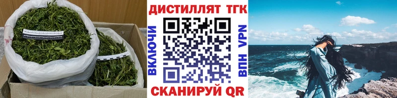 Купить закладки  Лебедянь  Дистиллят ТГК THC oil 