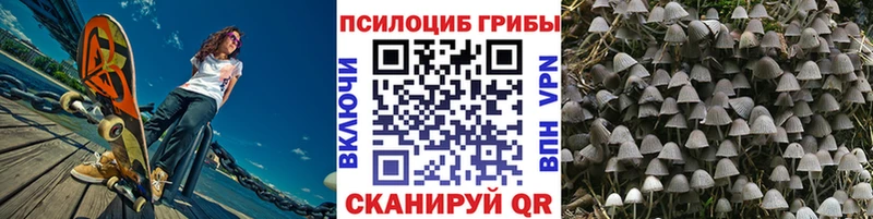 Псилоцибиновые грибы MAGIC MUSHROOMS  Купить где  Лебедянь 